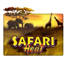 Joker123 : Safari Heat - DEMO MBS