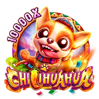 Facai : CHILIHUAHUA - DEMO MBS