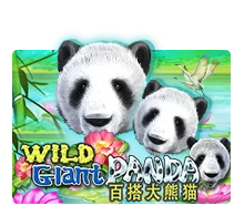 Joker123 : Wild Giant Panda - DEMO MBS
