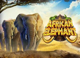 Pragmatic : African Elephant - DEMO MBS